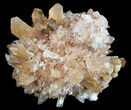 Orange Creedite Crystal Cluster - Durango, Mexico #51653-1